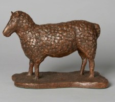 Buckinghamshire Sheep