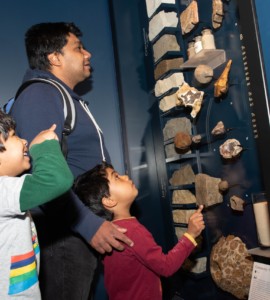 Neel (6), Brij (4) and dad Sunay enjoy the display