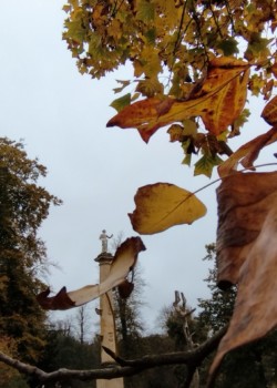 Emilia Skinner, age8 - Autumn at Stowe - falling leaves