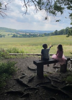 Marie Thorpe - 1st. Babes in the Wood